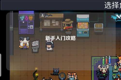 新手入门攻略